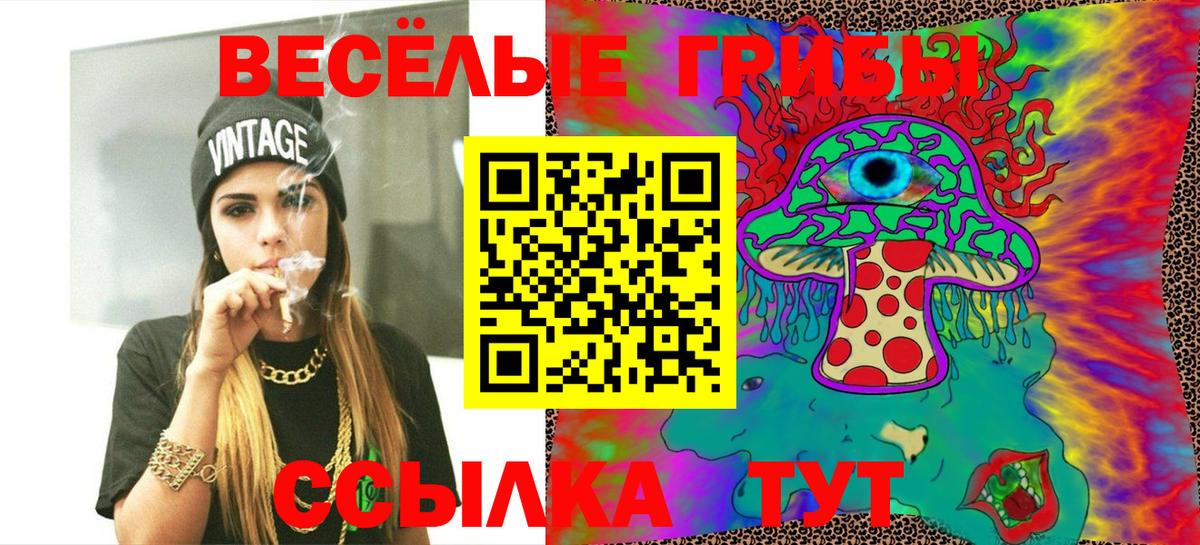Богородицк  Галлюциногенные грибы MAGIC MUSHROOMS  Вход с VPN 