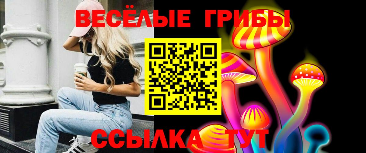 Галлюциногенные грибы мицелий Богородицк